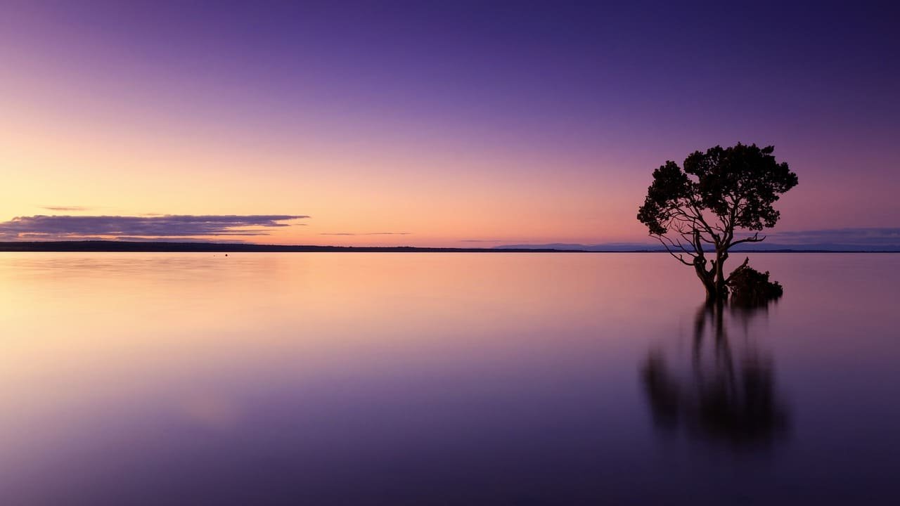 minimalist-yaşam
